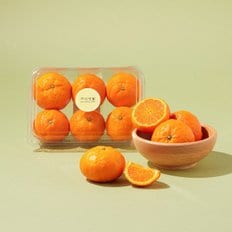  저탄소 제주 카라향 1kg 5~9입/팩