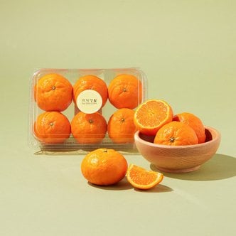  저탄소 제주 카라향 1kg 5~9입/팩