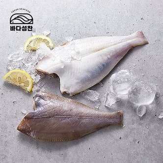 바다성찬 국내산 두절 가자미 1kg