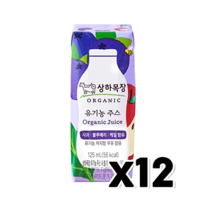 매일 상하목장 유기농주스 사과블루베리케일 팩음료 125ml x 12개