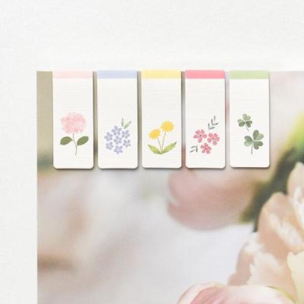 확대된 대표 IMAGE1