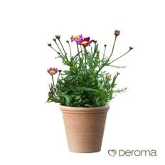 [데로마 Deroma] 테라코타 이태리토분 인테리어화분 바소 에트루스코(25cm)