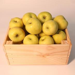 가정용 시나노골드 사과 3kg 소과 12-19과내외 (S53019644)