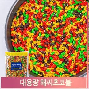 초콜릿 해바라기씨 1kg 어린이 탕비실 간식 주전부리 (S7313299)