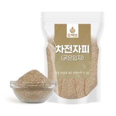 굵은입자 차전자피 1kg 차전차피 식이섬유 가루 분말