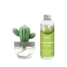 선인장 디퓨저(100ml)+리필(200ml) 세트