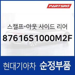 올뉴 싼타페TM 사이드미러커버 백미러커버,운전석쪽 (마그네틱 그레이메탈릭) (87616S1000M2F)