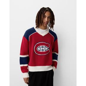 버쉬카 NHL 스웨터 7344/376 RED