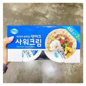 덴마크 사워크림 2PACK 450G X 2 코스트코