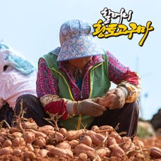 무안 황토밭 할머니 호박 고구마 소 3kg+3kg (50g~80g/개)