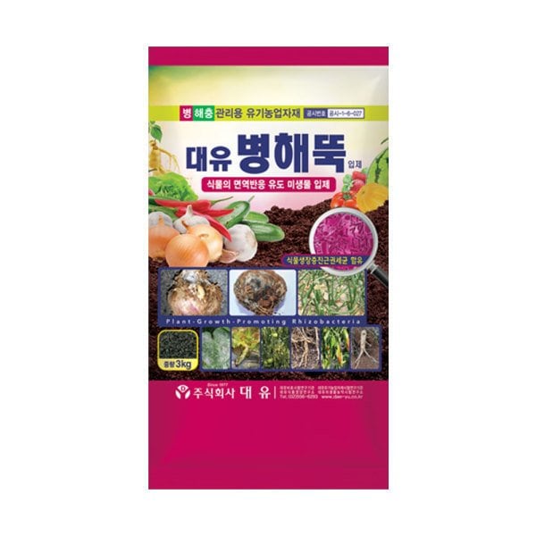 확대된 대표 상품이미지1