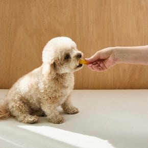 반려동물 강아지 고구마 말랭이