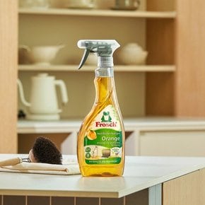 독일 가전/가구표면 오렌지 멀티클리너 500ml