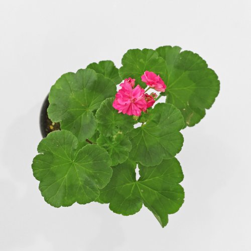 상품이미지2