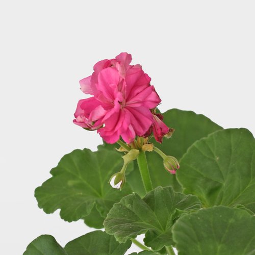 상품이미지3