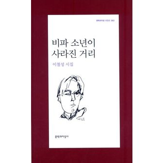 교보문고 비파 소년이 사라진 거리