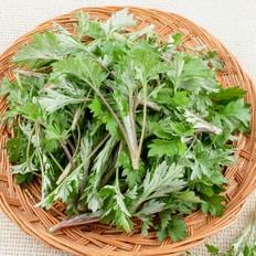 산해직송 국산 제철 봄나물 (국내산 노지 쑥 300g)