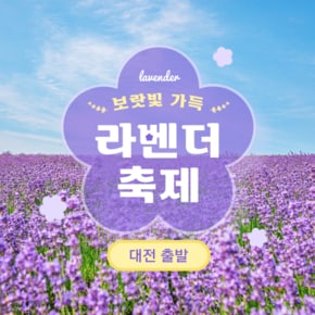 담양 죽녹원·메타세콰이어길·정읍 라벤더 축제 여행(대전출발)
