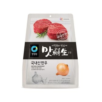 청정원 맛선생 한우 (분말) 250g