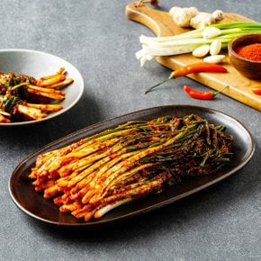 [전라도 청년] 당일제조 국산 전라도김치 파김치 2kg