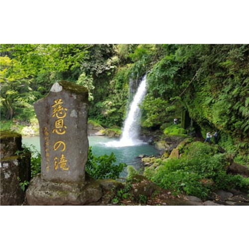 https://media.eoding.com/media/travelagent/205/imagecontent/카멜_유키하.jpg