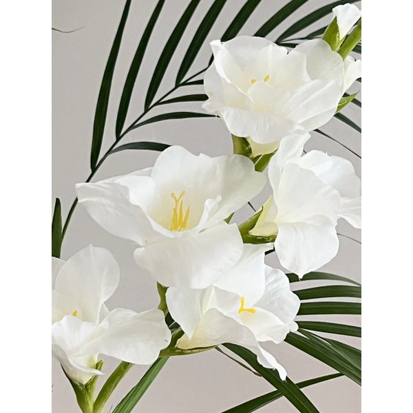 확대된 대표 Main Image