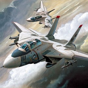 No30/미공군 F-14 톰캣 비행기 프라모델 1/144스케일