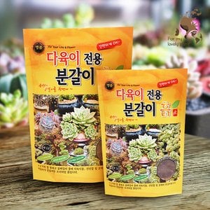  명품 다육이 전용 분갈이 흙 3L,6L 이 제품 하나로 끝 다육이흙 종결