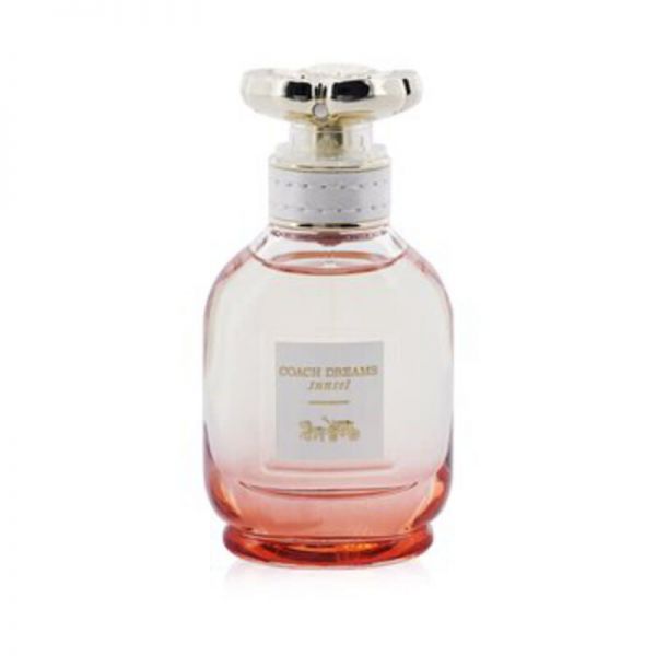 확대된 대표 https://tmg024.cafe24.com/mall/admin/shop/download_image/20251016/11037525.jpg