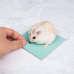 파스텔 타일 햄스터 대리석 소동물 바닥깔개 쿨매트.