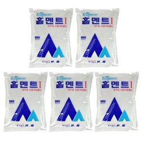 철물팩토리 홈멘트 백색 2kg 5개 가정용 백시멘트 담벼락 보수