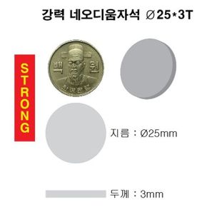 문구완구 초강력 네오디움 영구 원형 자석 25X3T 2개