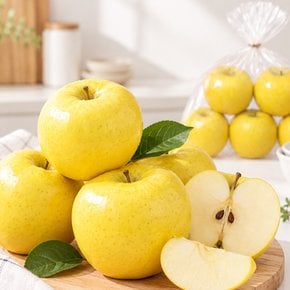 시나노골드 사과 1.2kg(봉)