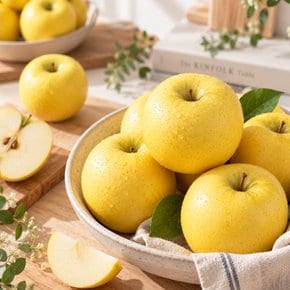 시나노골드 사과 1.2kg(봉)