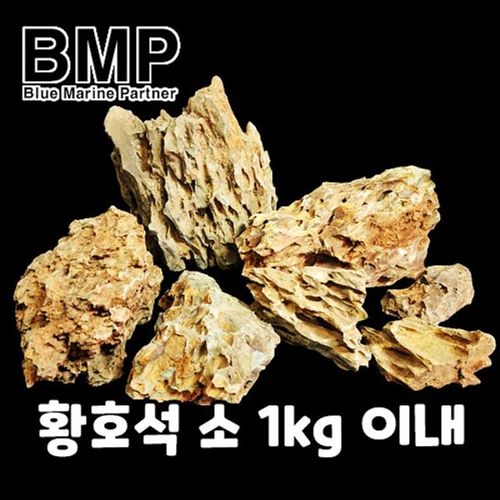 BMP 랜덤 수조 레이아웃 황호석 사이즈 미만 소 1kg X ( 3매입 )