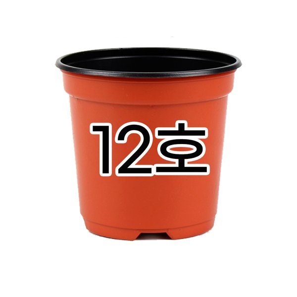 확대된 대표 상품이미지1