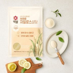 백설 브라운 자일로스 설탕 2kg x2개