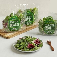다신샵 3회세척 하루한끼 샐러드믹스 6팩 / 출고당일제조 7가지야채