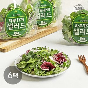 다신샵 당일생산 샐러드믹스 하루한끼 샐러드 1주세트 (6팩) / 3회세척 7가지야채