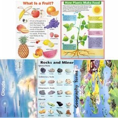 영어교실 과학 포스터-과학 포스터 2세트 (5종) 71-25