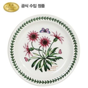 보타닉 가든 중접시(R형) 21CM 1P