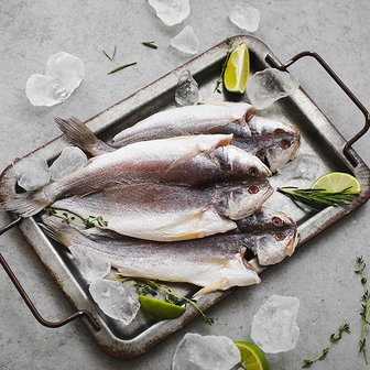 자연맛남 밥도둑 반건조 대 민어조기 15미(2.1kg/개별포장)