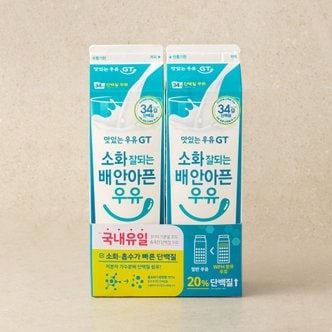 남양 소화가 잘되는 단백질우유 900ml*2
