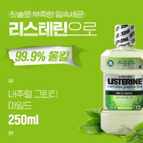 리스테린 내추럴그린티 250ml 구강청결제 플라그제거 구취제거