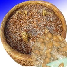 지리산산골 무염청국장 황토방 숙성 재래식 청국장 (황토방 청국장 5섯팩 1kg) 입니다