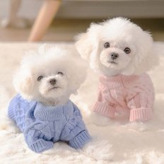 강아지옷 가을 겨울 꽈배기 니트 비숑 말티즈 포메 토이 푸들 XS