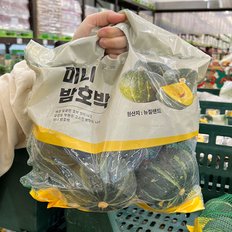글로벌푸드 트레이더스 미니 밤호박 1봉