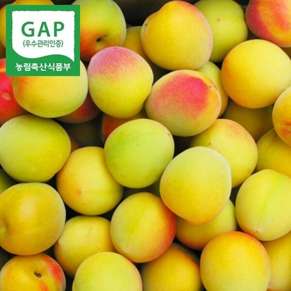 [6월초출고]매실본고장-하동황매실 10kg(대)