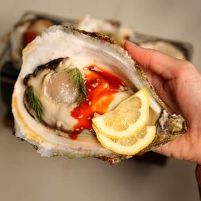 신선한 자연산 바위굴 2kg