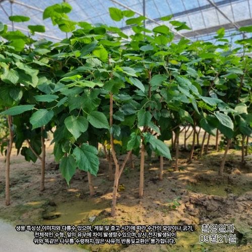 추가이미지2